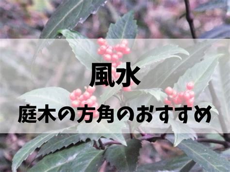 風水 樹木|風水で庭木の方角のおすすめと縁起がいい庭木の言い。